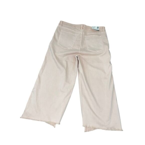 NWT DL1961 Hepburn Wide Leg High Rise Vintage Bellini Pink‎ Raw Hem Jeans Sz 20W - Picture 2 of 8
